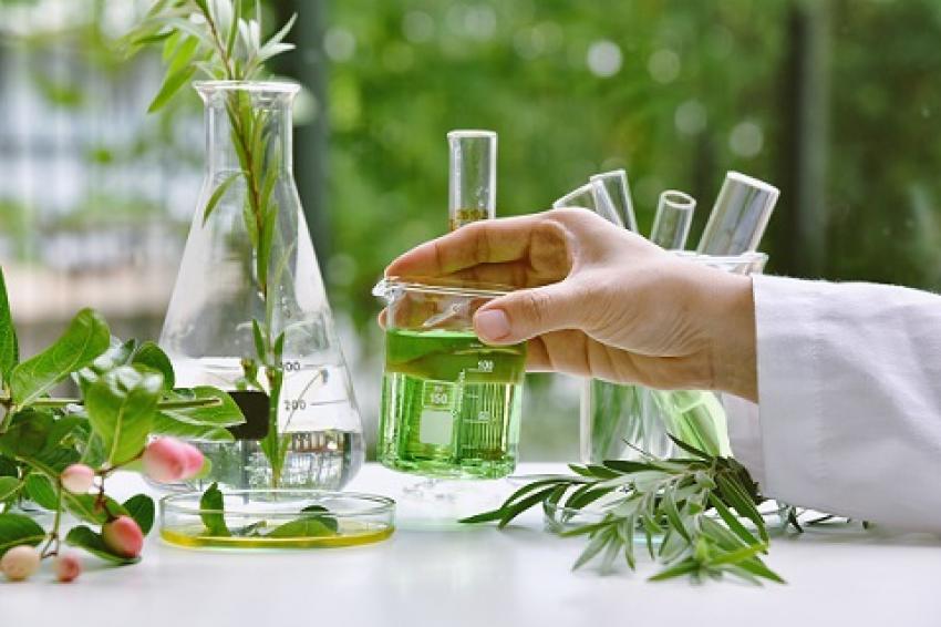 Green and Bio-Based Solvents Market Poised for Major Growth as Sustainability Demand Surges