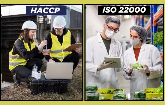 HACCP vs. ISO 22000: Understanding the Difference