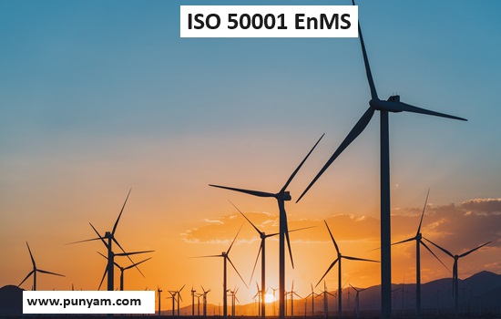 Know Which Types of Organizations Seek ISO 50001 Certification and Essential Perspectives on EnMS