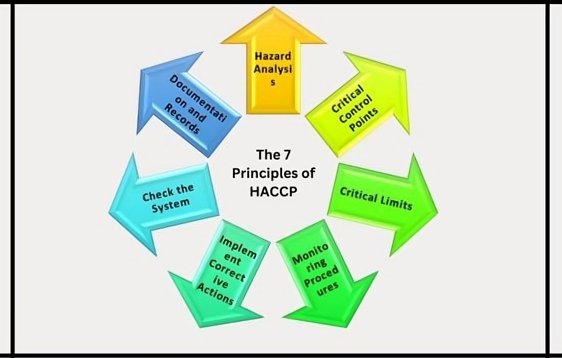 A Step-by-Step Guide to the 7 Principles of HACCP