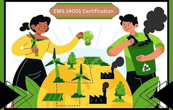 How EMS 14001 Certification Enhances Sustainability for Eco-Conscious Businesses