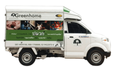 Home from termites! System pest control at the most advanced company for termite Greenhome