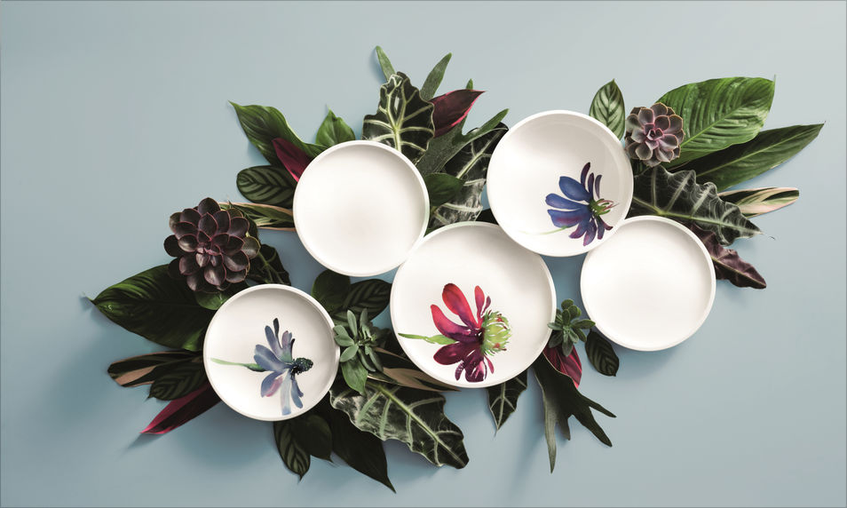 FIDE kitchen accessories - modern and fashionable kitchenware