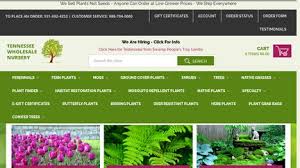 Tree Nursery | Plant Nursery | Affordable Plants Online