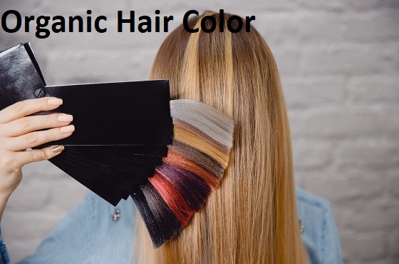 Organic Hair Color Market Size, Share, Growth, Opportunities and Global Forecast to 2028
