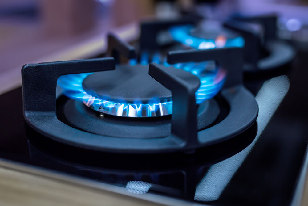 A Comprehensive Study of Factors Affecting Natural Gas Prices