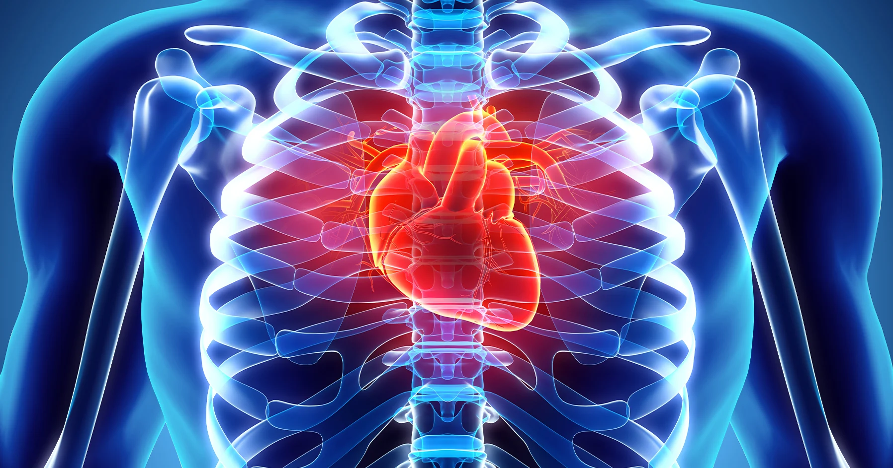 10 MYTHS ABOUT CARDIOVASCULAR DISEASE