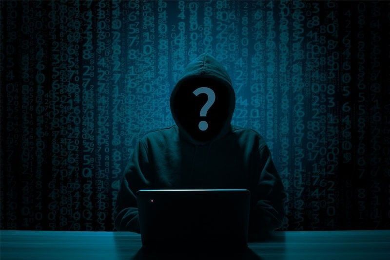 Professional hacker