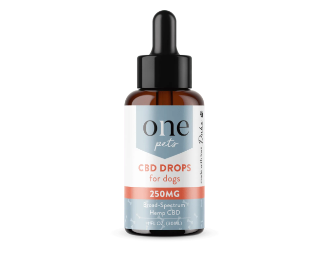Cbd Oil for Pets: 5 Tips to Choose the Right Product