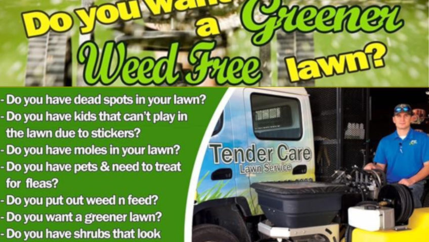 Why Hire Lawn care Services To Apply Fertilizer and Chemicals in Your Lawn