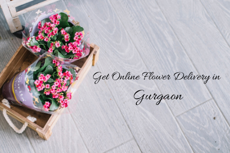 Get Free Online Flower Delivery in Gurgaon by Floraindia