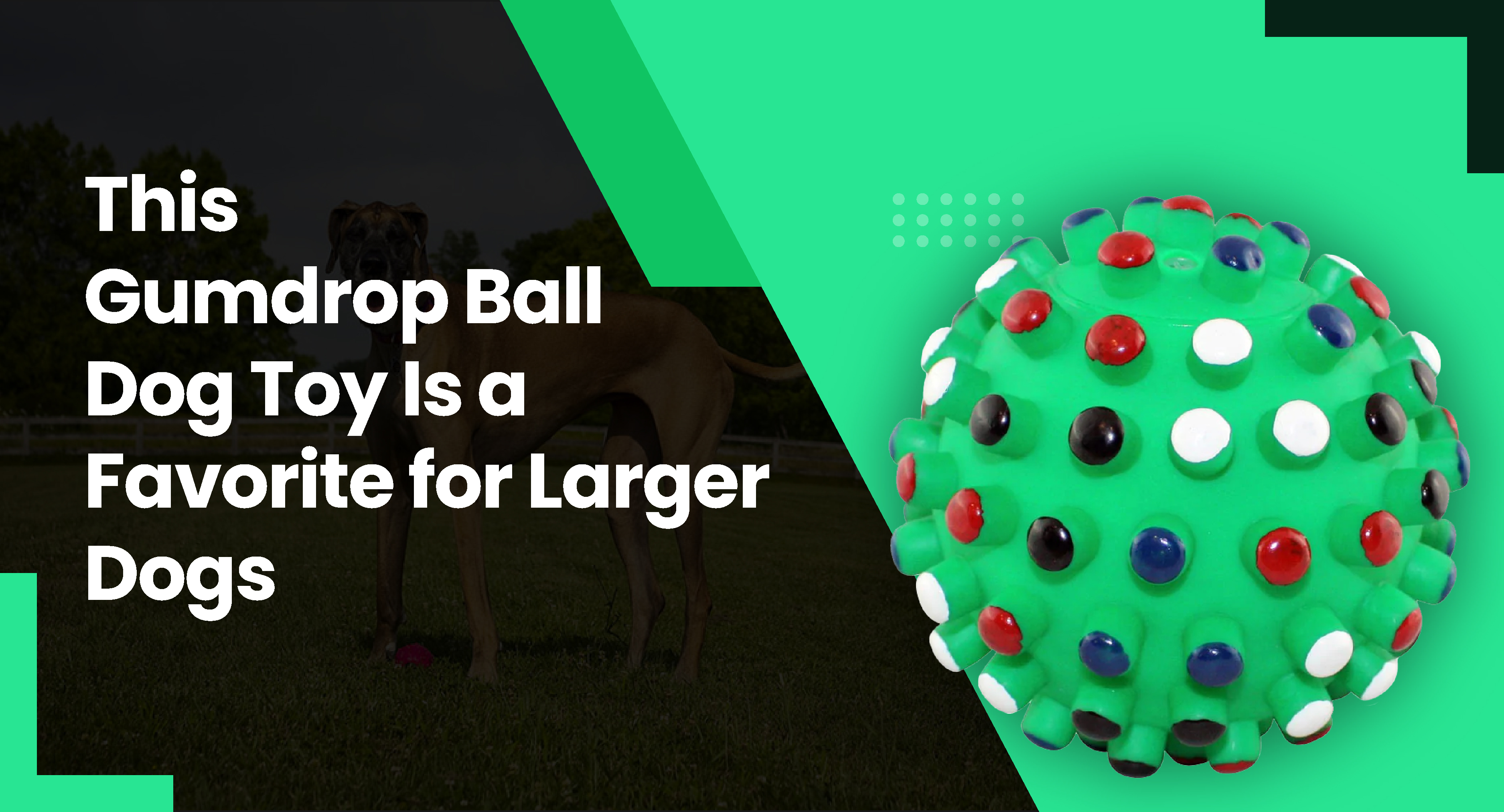 Is Gumdrop Ball Dog Toy Good For Larger Dogs?