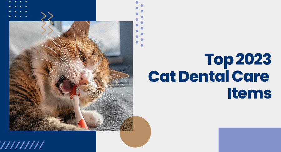 Top 2023 Cat Dental Care Items
