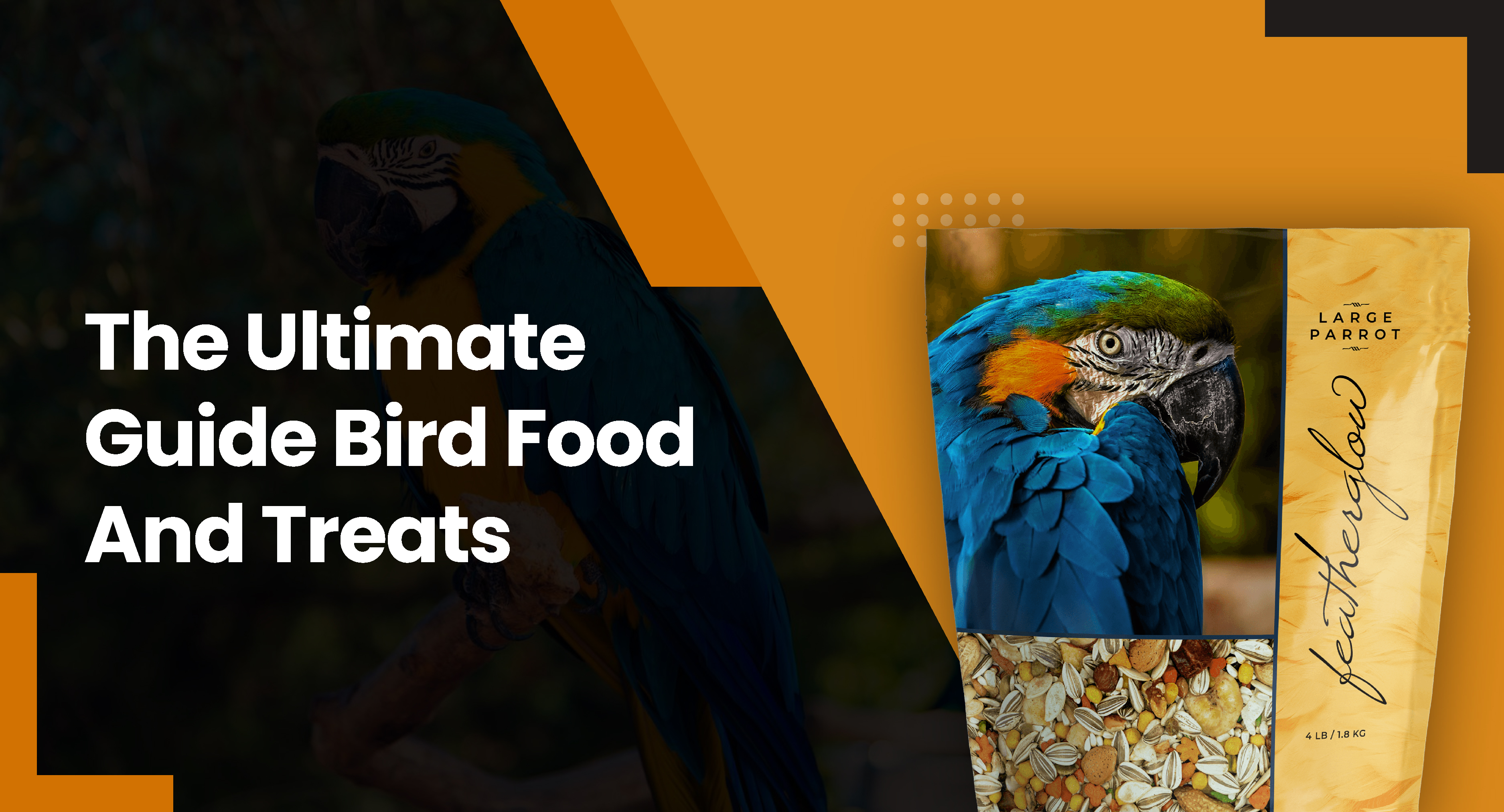 The Ultimate Guide Bird Food And Treats