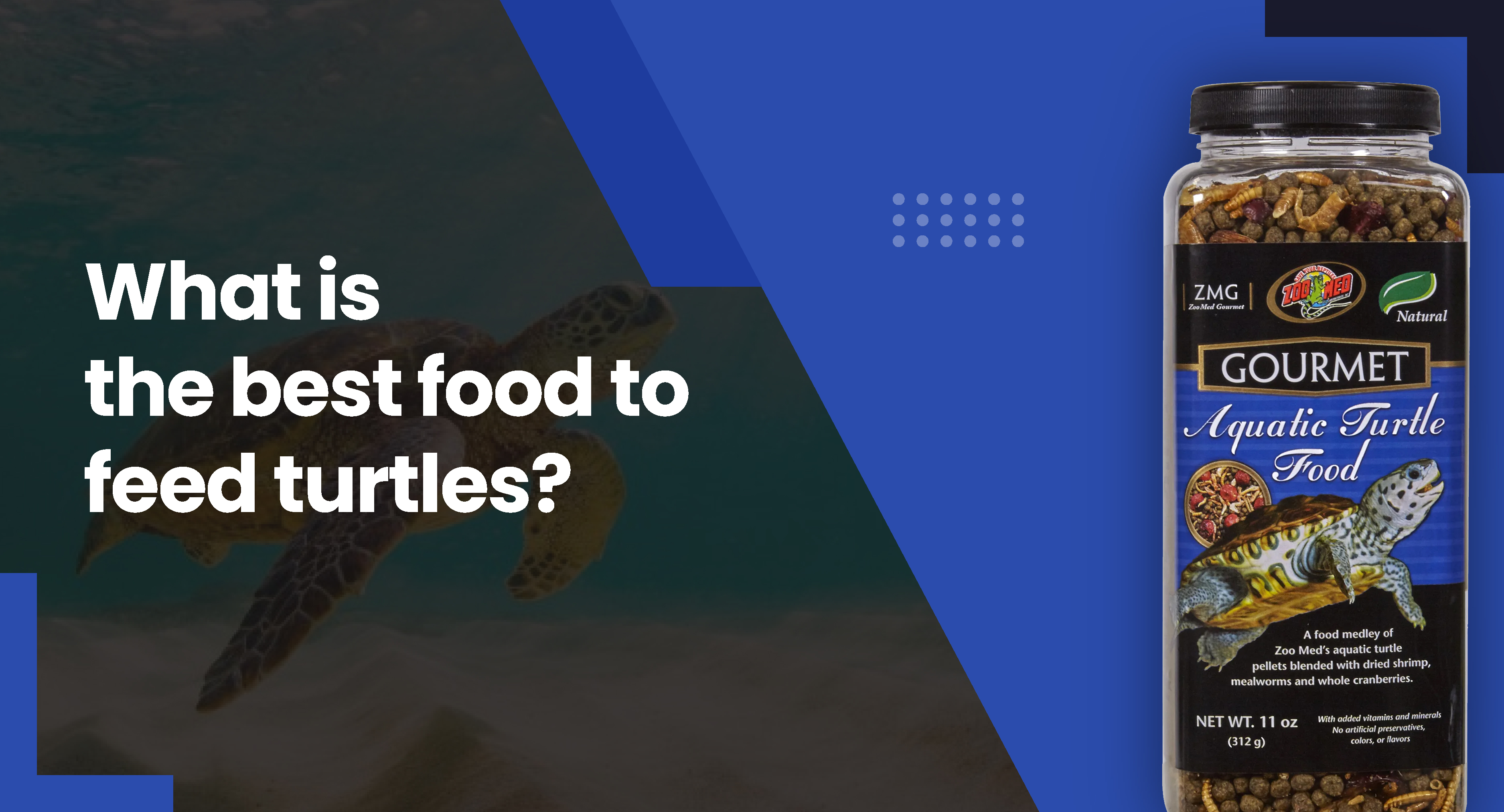 What Is The Best Food To Feed Turtles?