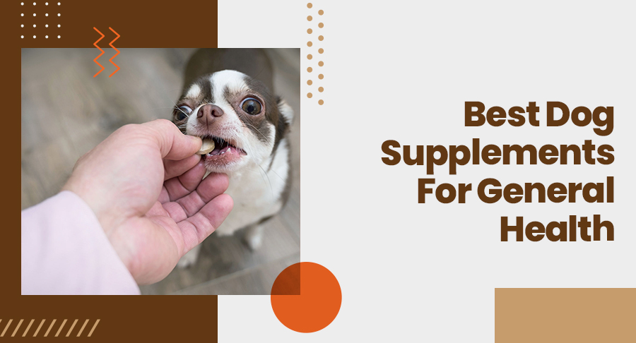 Best Dog Supplements For General Health