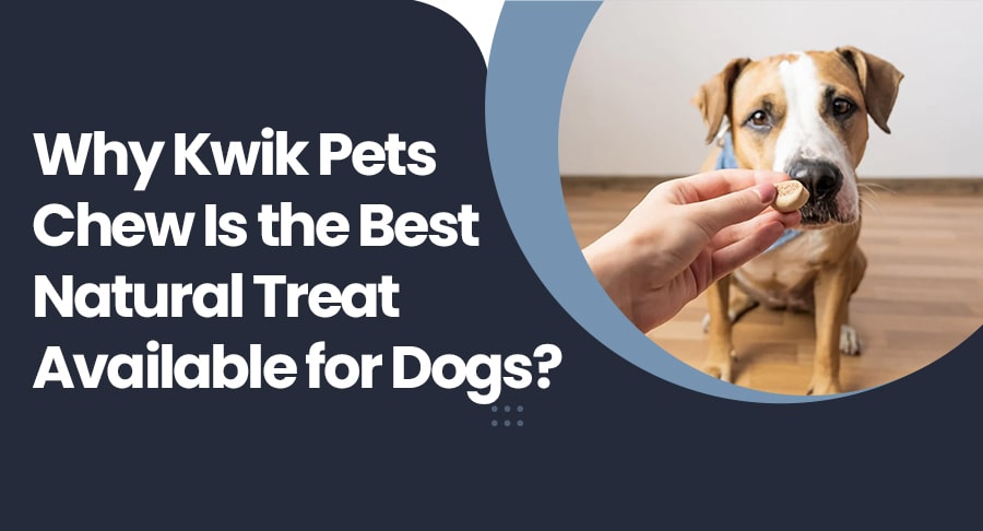 Why Kwik Pets Chew Is the Best Natural Treat Available for Dogs?
