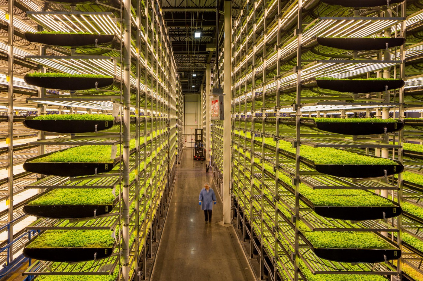 Vertical Farming market 2022 Growth by Opportunities, Application, Current Trend and Forecast by 2030 