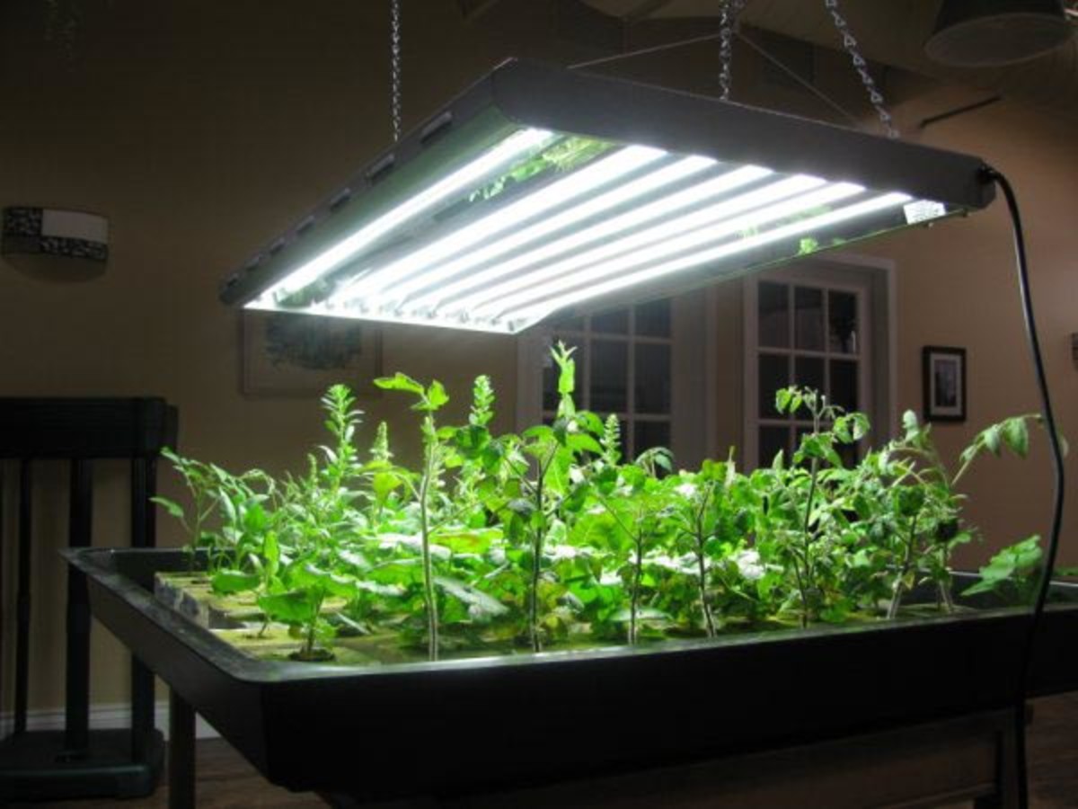 Grow Lights Market New Industry Research Report Announced; Global Industry Analysis