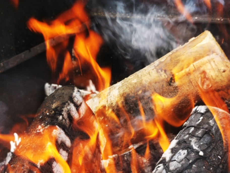 GRUNNLEGGENDE OM BJØRKETRE