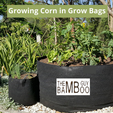 Vegetable Grow Bags Sale | The Bamboo Guy