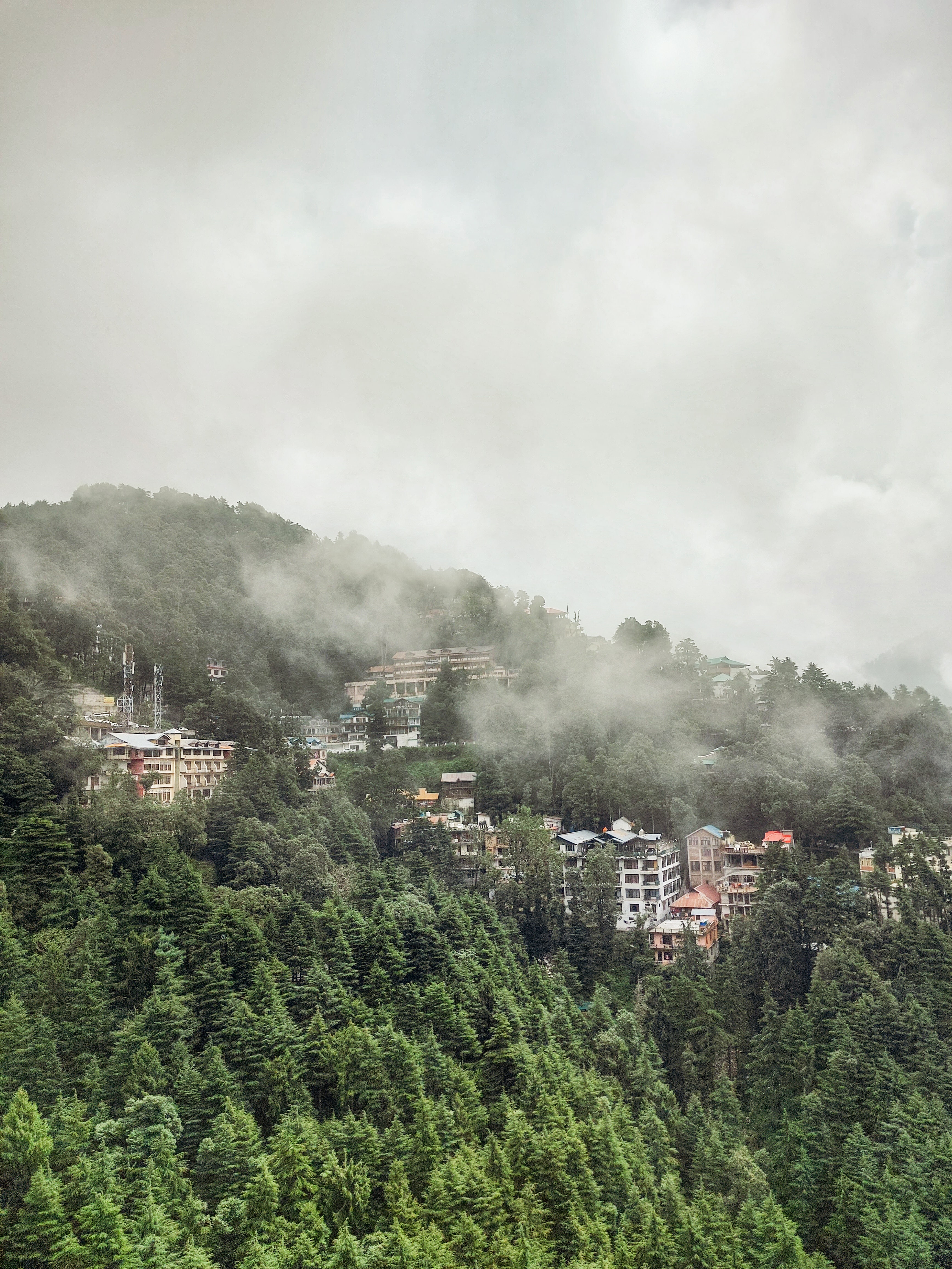 Reasons to Consider Dalhousie Destination for Tourists