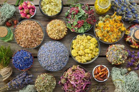 Herbal Supplements Are Being Used More Than Ever. Why?