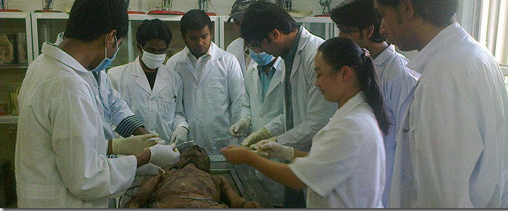 Medical System in India