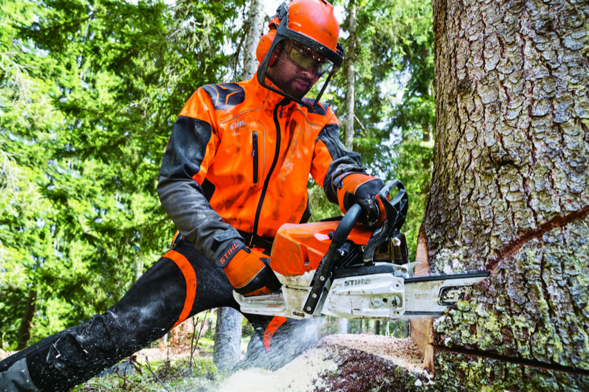What To Consider Before Having A Tree Removal Service?