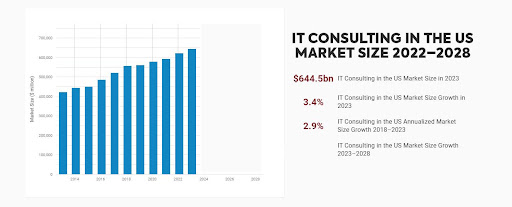 How Does an IT Consultancy Company Work in the USA?