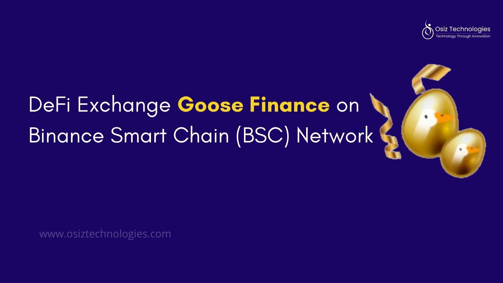 Why Start DeFi Exchange Goose Finance?