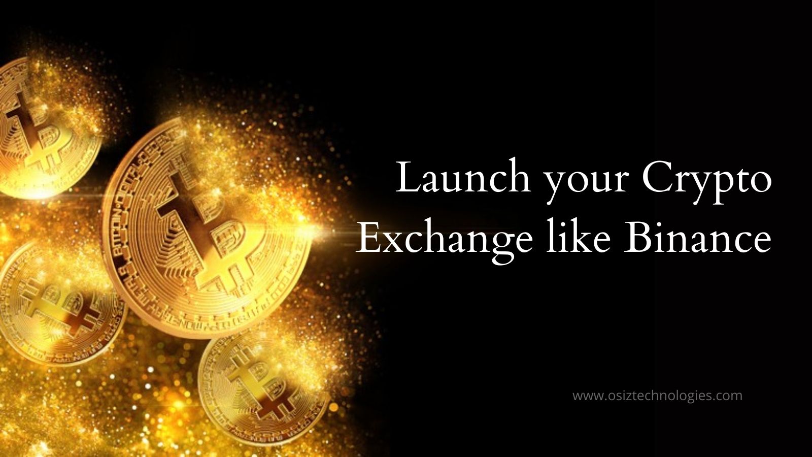 How Binance Clone Script Works?