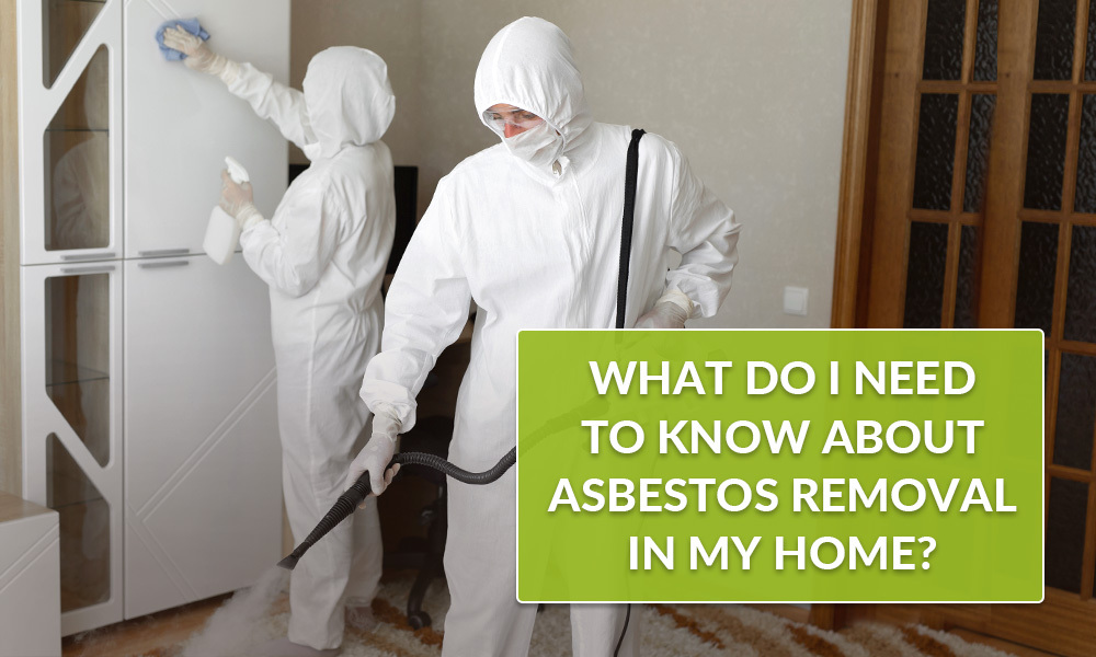 What Should I Know About Asbestos Removal in Ottawa?