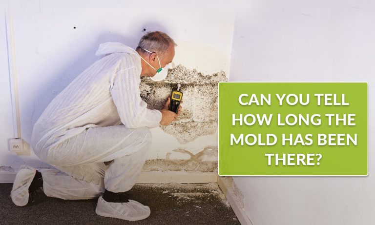 CAN YOU TELL HOW LONG THE MOLD HAS BEEN THERE?