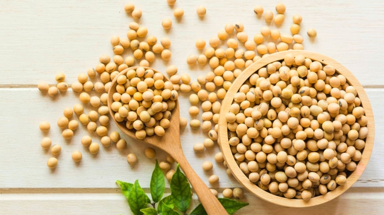 Best Soyabeans Dealers in India  |  Nikhil Mercantile 