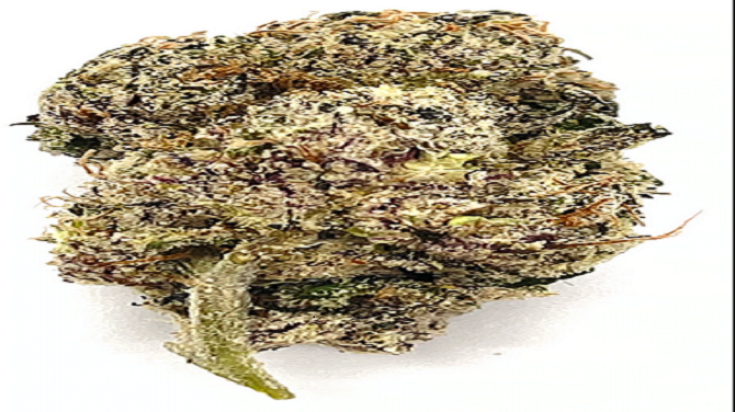 How did the DC Weed Dispensary become so popular?