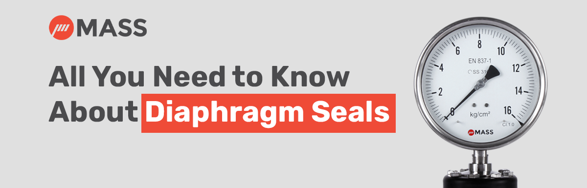 What is Diaphragm Seal?