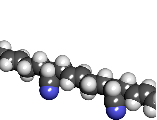 Global Elastomers Market Value Incrementing at CAGR of 5.28% through to 2025