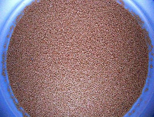 Global Yeast Market Gaining Traction from Increased Consumption of Alcoholic Bev