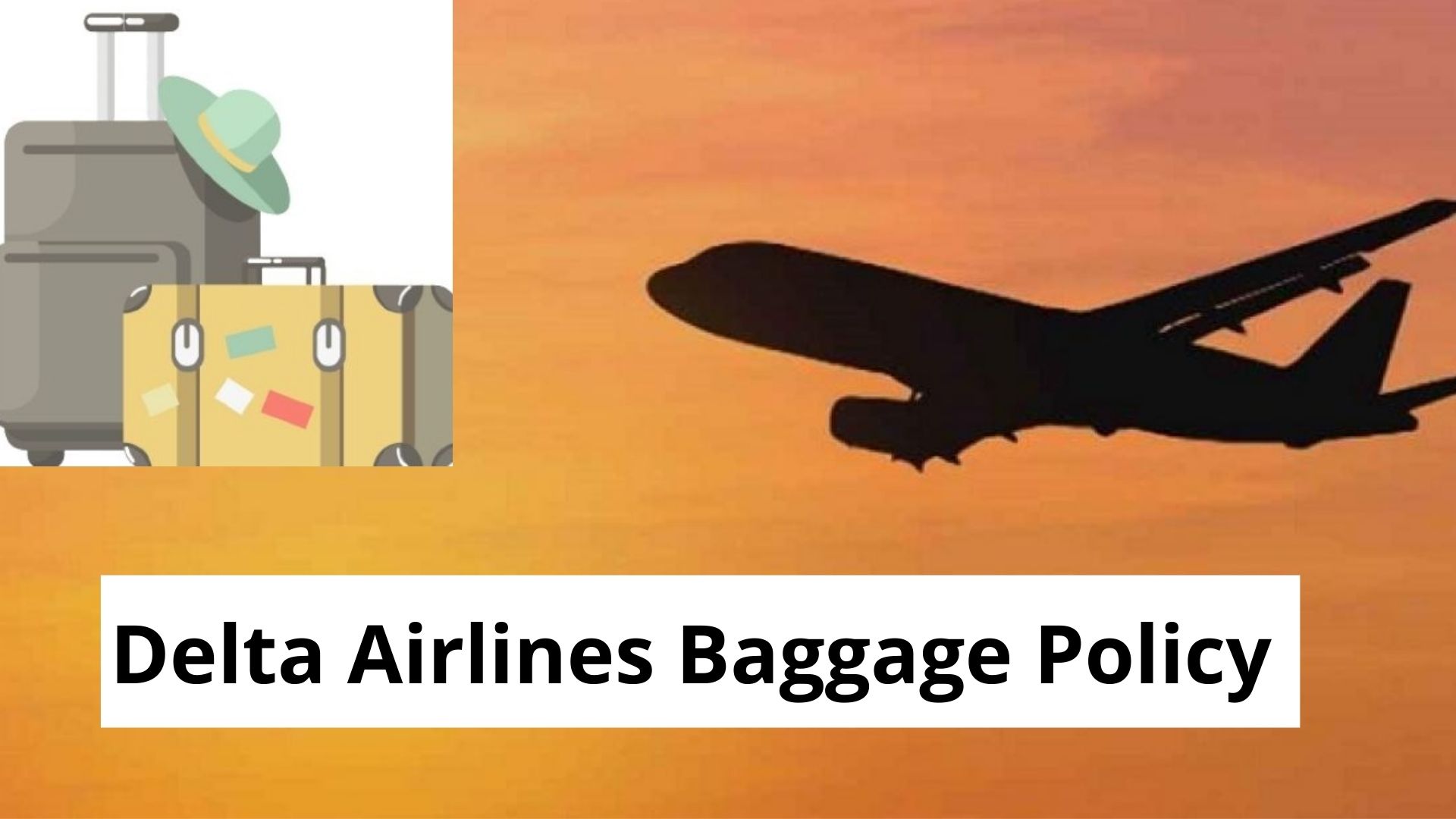 Delta Airlines Checked & Carry-on Baggage Policy - Travel Tips