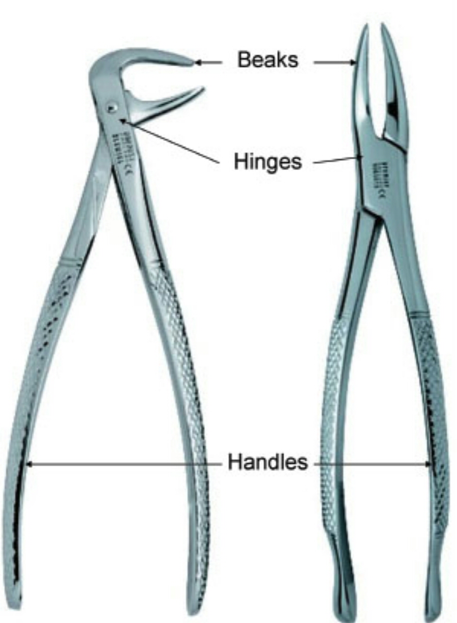 Dental Extraction Forceps Market : Global Industry Trends, Share, Size, Growth, Opportunity and Forecast 2022-2028