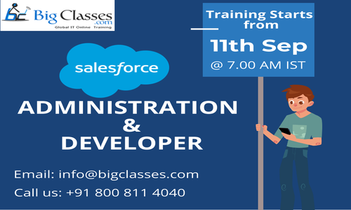 Salesforce Administration & Developer Online Training