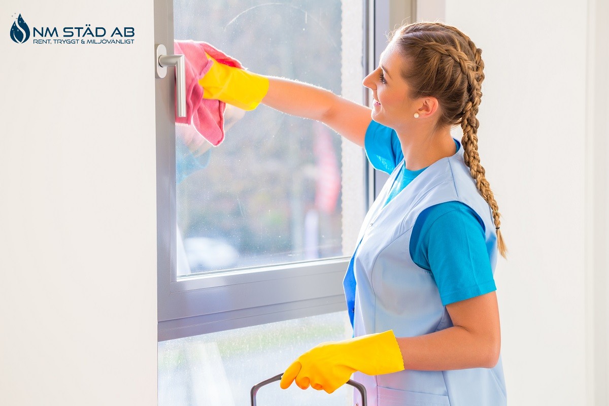 Professional Window Cleaning Service in Sweden