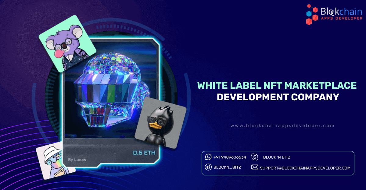 White Label NFT Marketplace Development-Build Your Own NFT Marketplace