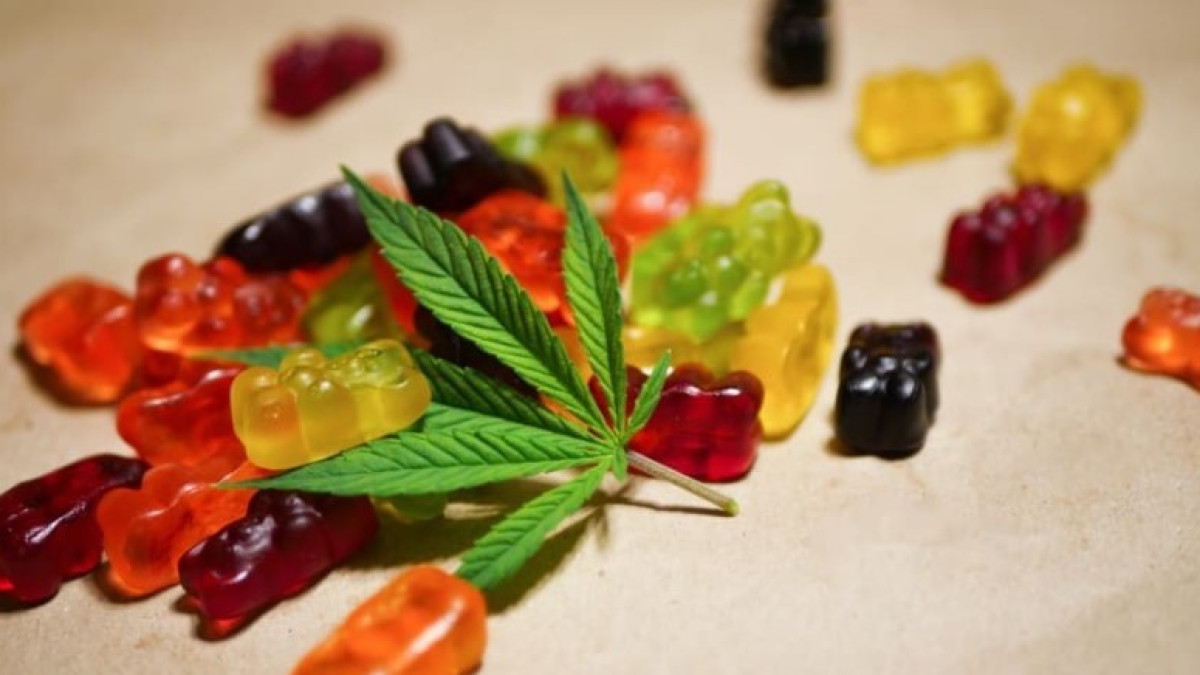 Site Green Dolphin CBD Gummies