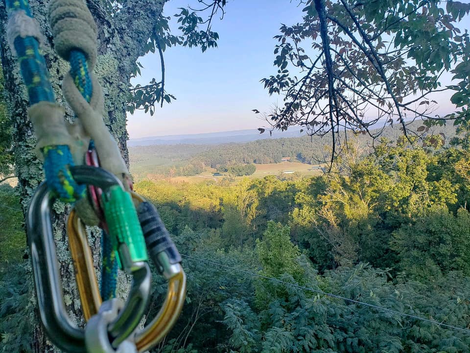 Why Do People Consider AKA Tree Service Among the Best Companies?