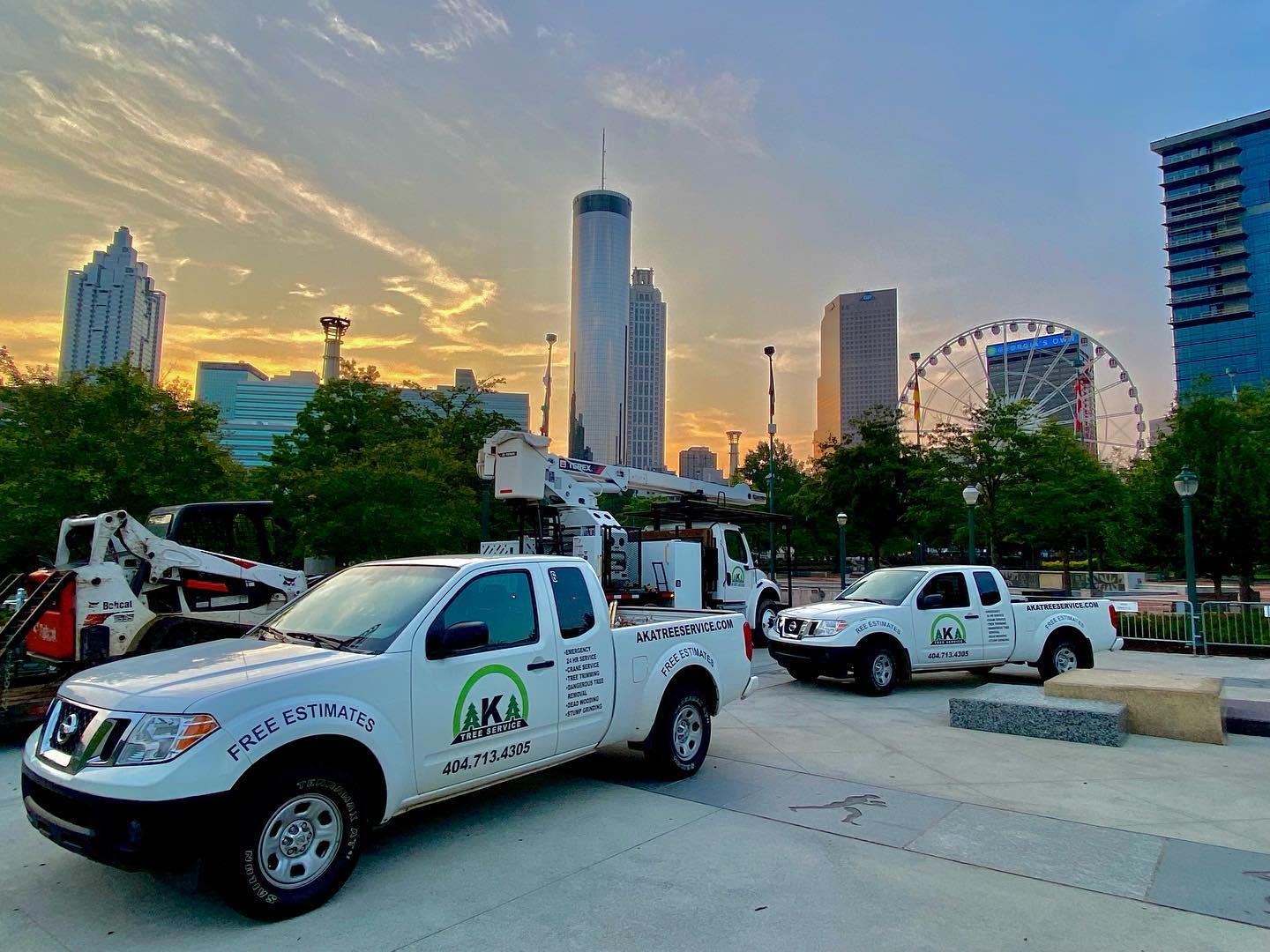 Get Efficient Tree Trimming and Removal Services from AKA Tree Service