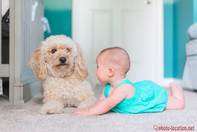 Common Carpet Cleaning Mistakes to Avoid