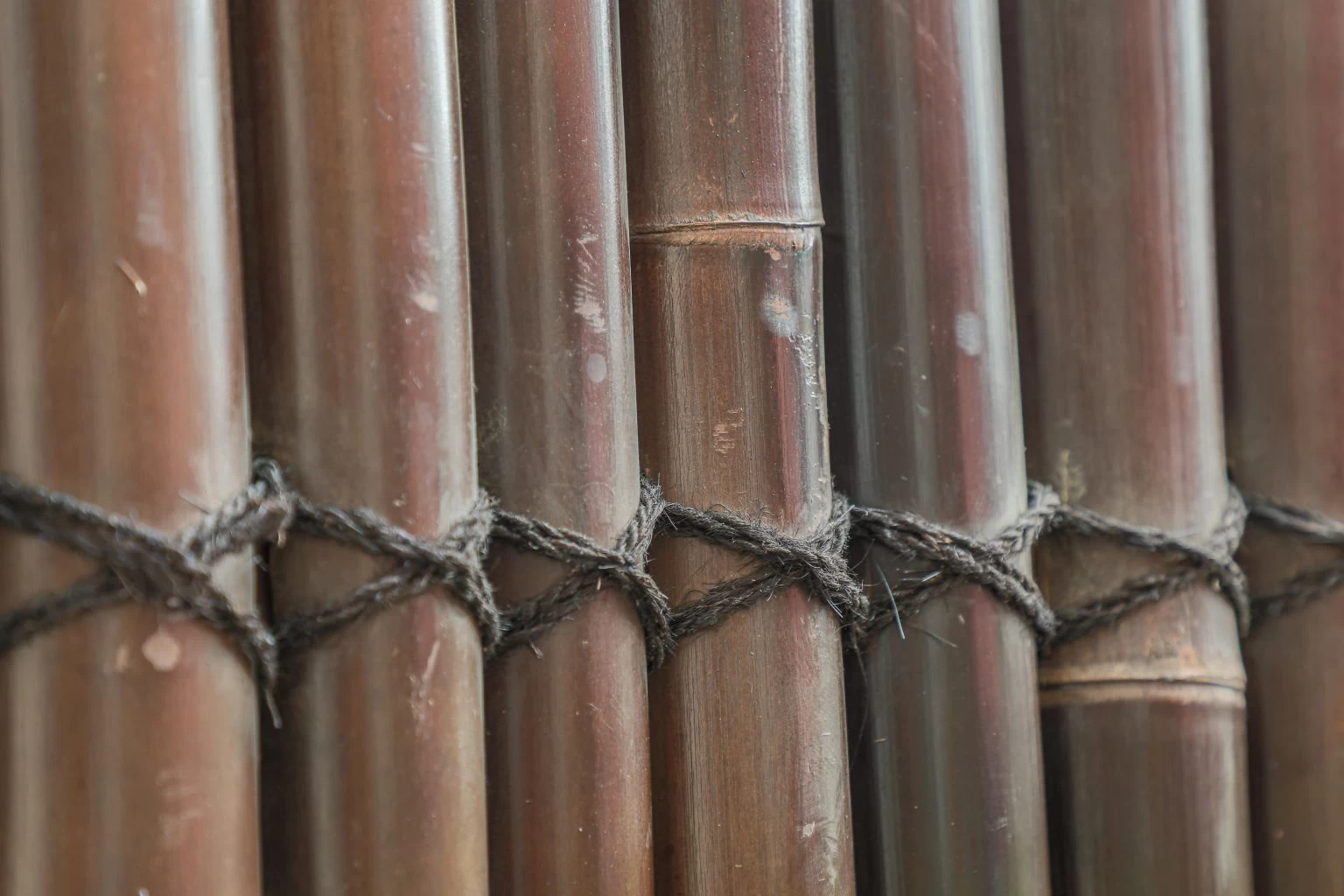 Tips & Guidelines for Installing Bamboo Fencing Panels Toowoomba