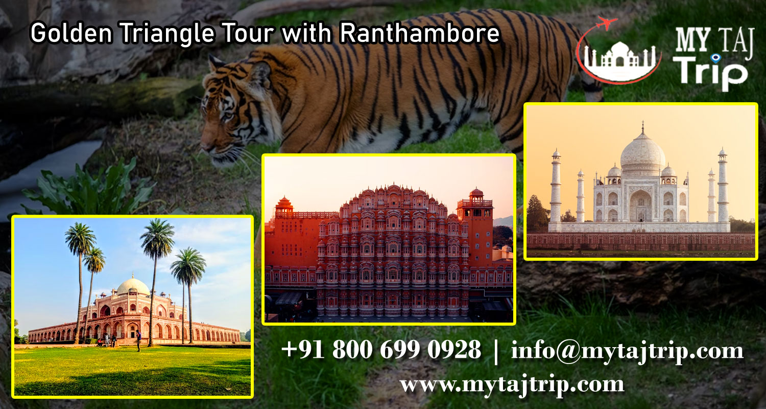 The Ranthambore National Park: What To Do When You'reallo It All!